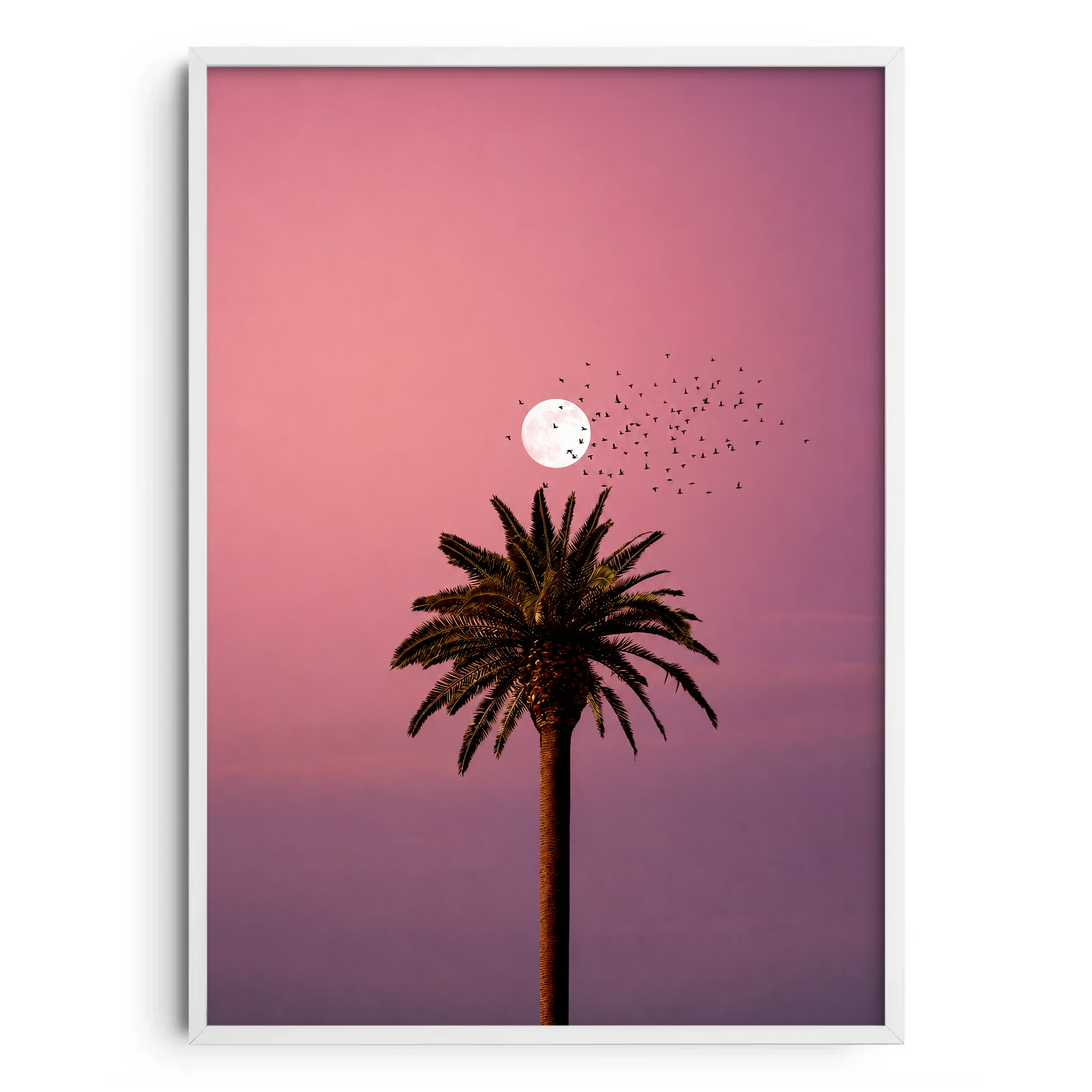 California Dreaming