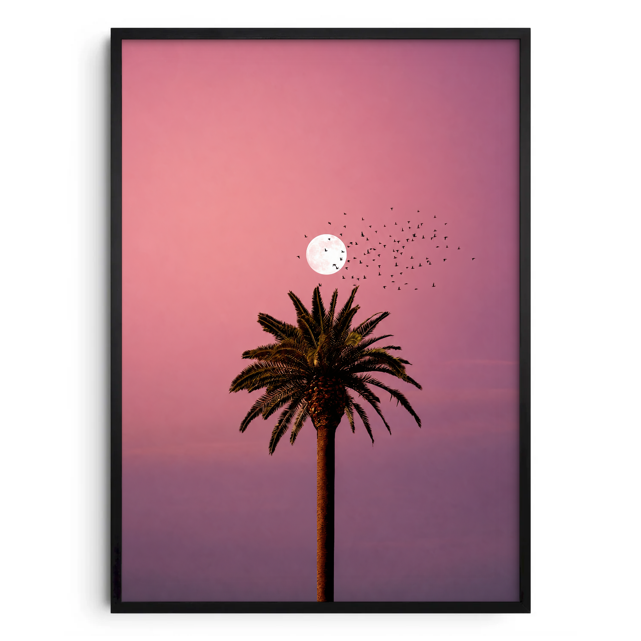 California Dreaming