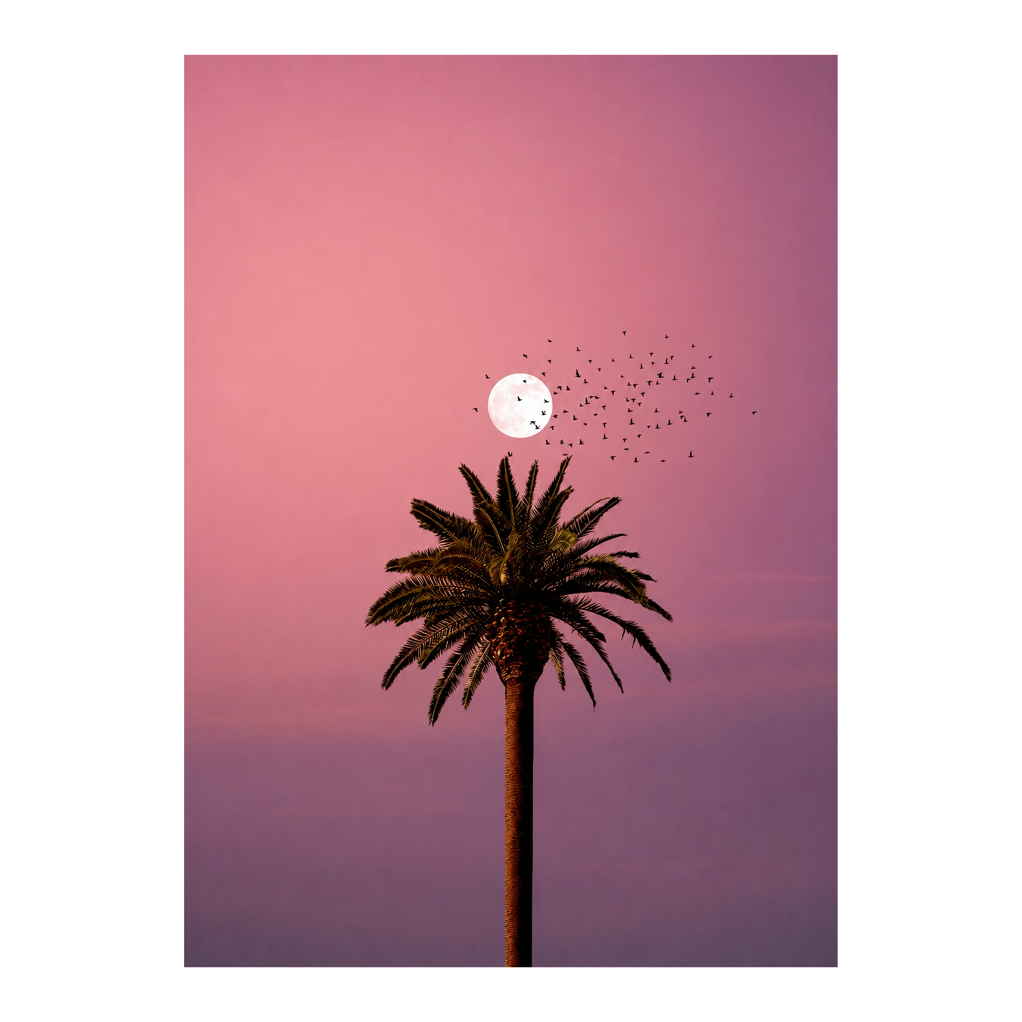 California Dreaming