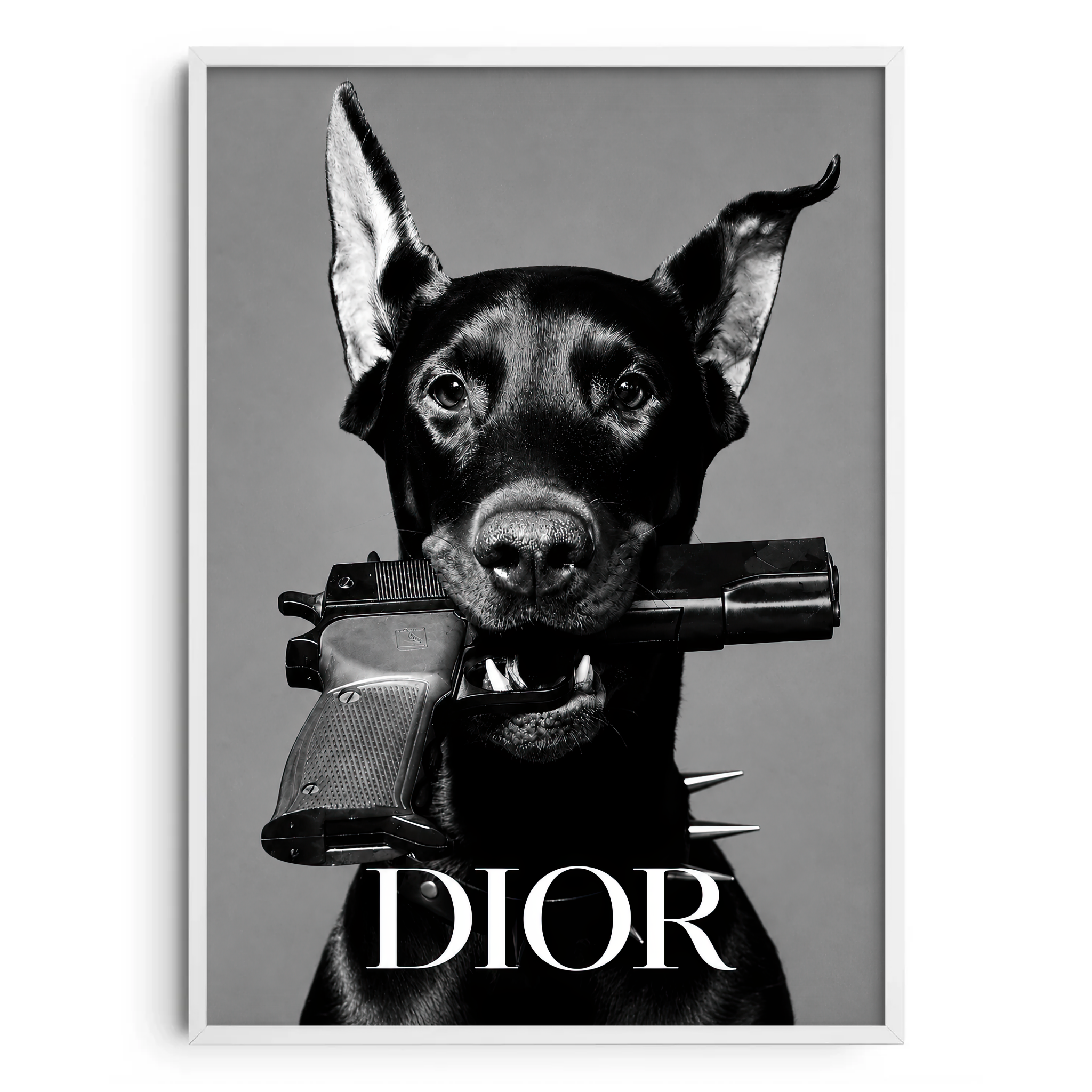 Dior Dog
