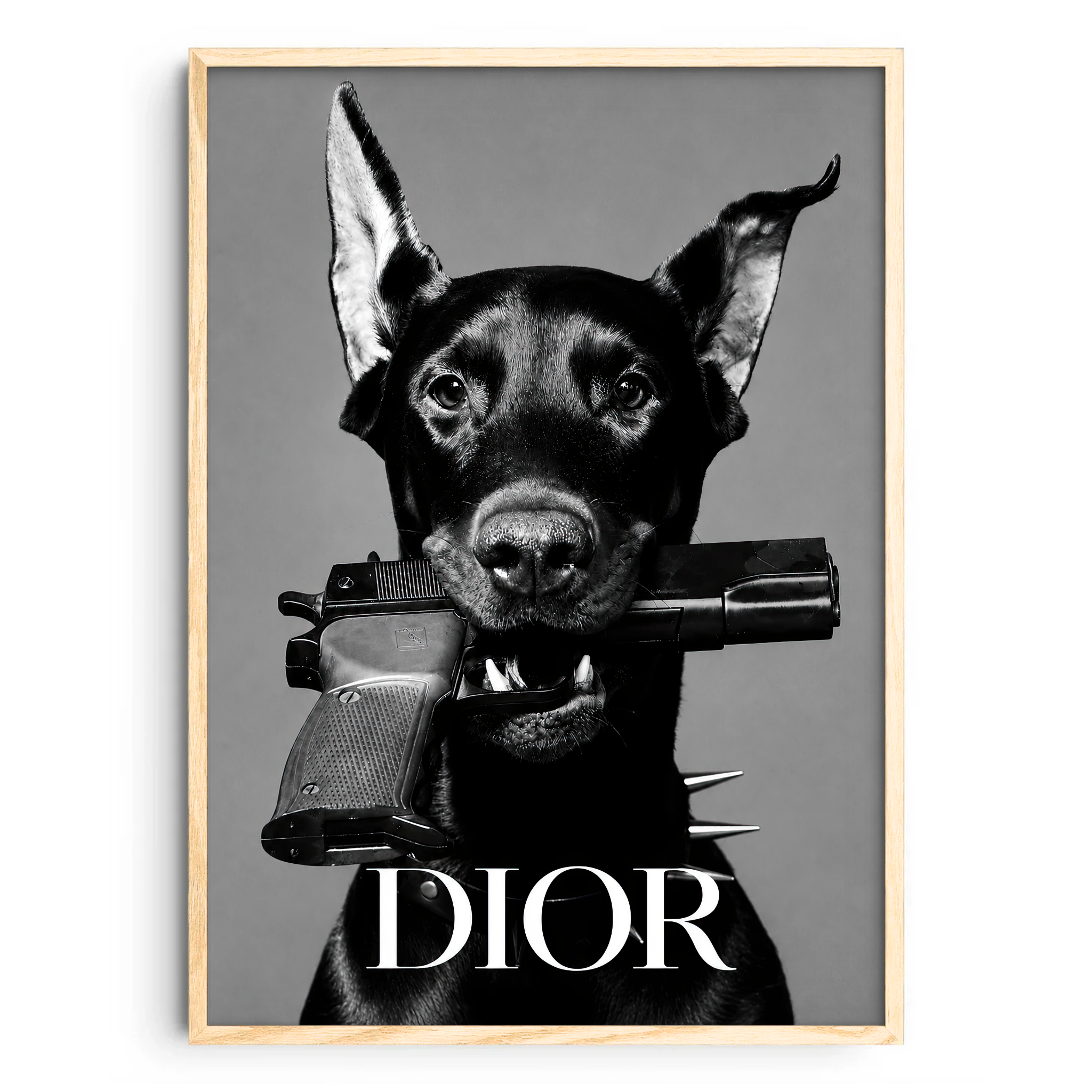 Dior Dog