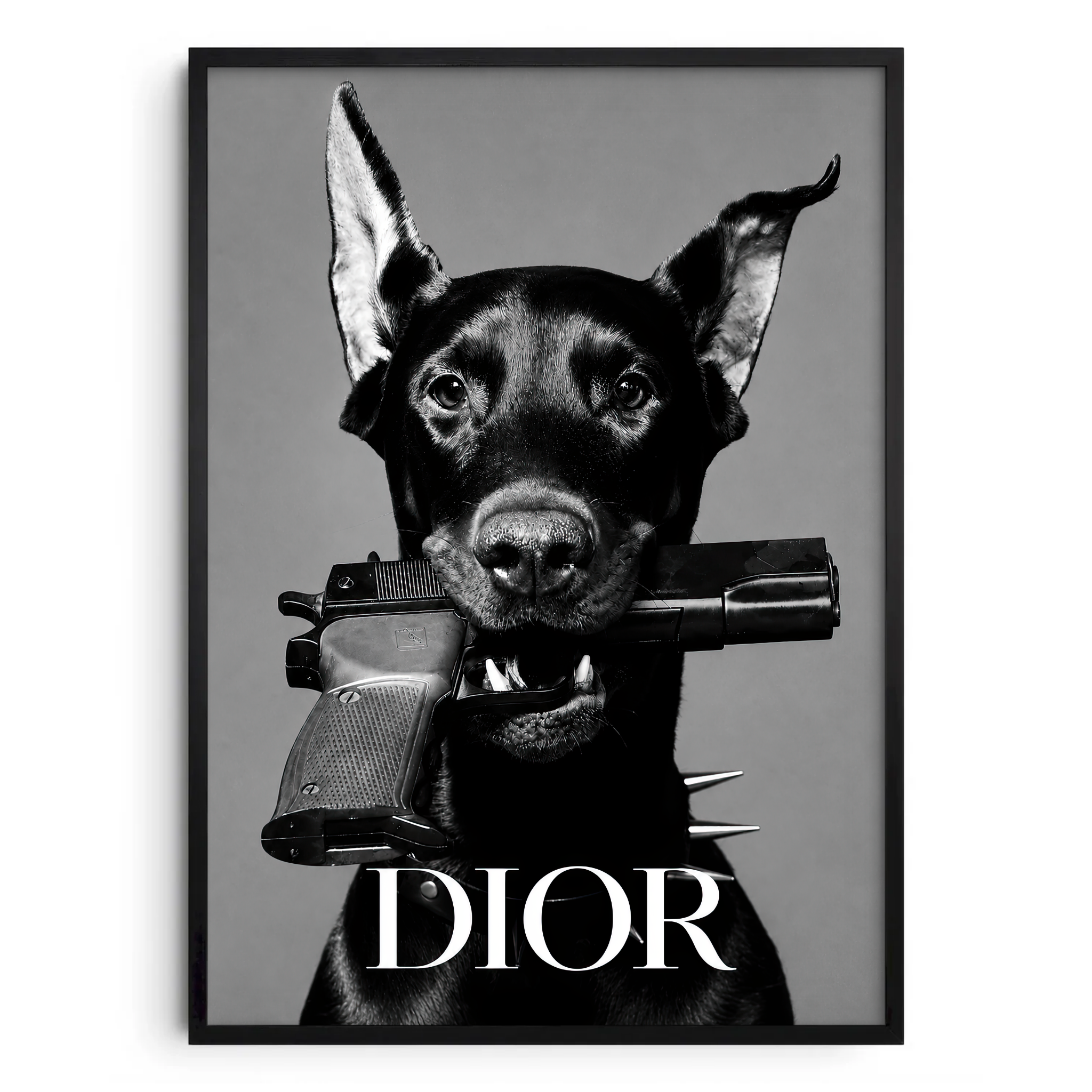 Dior Dog