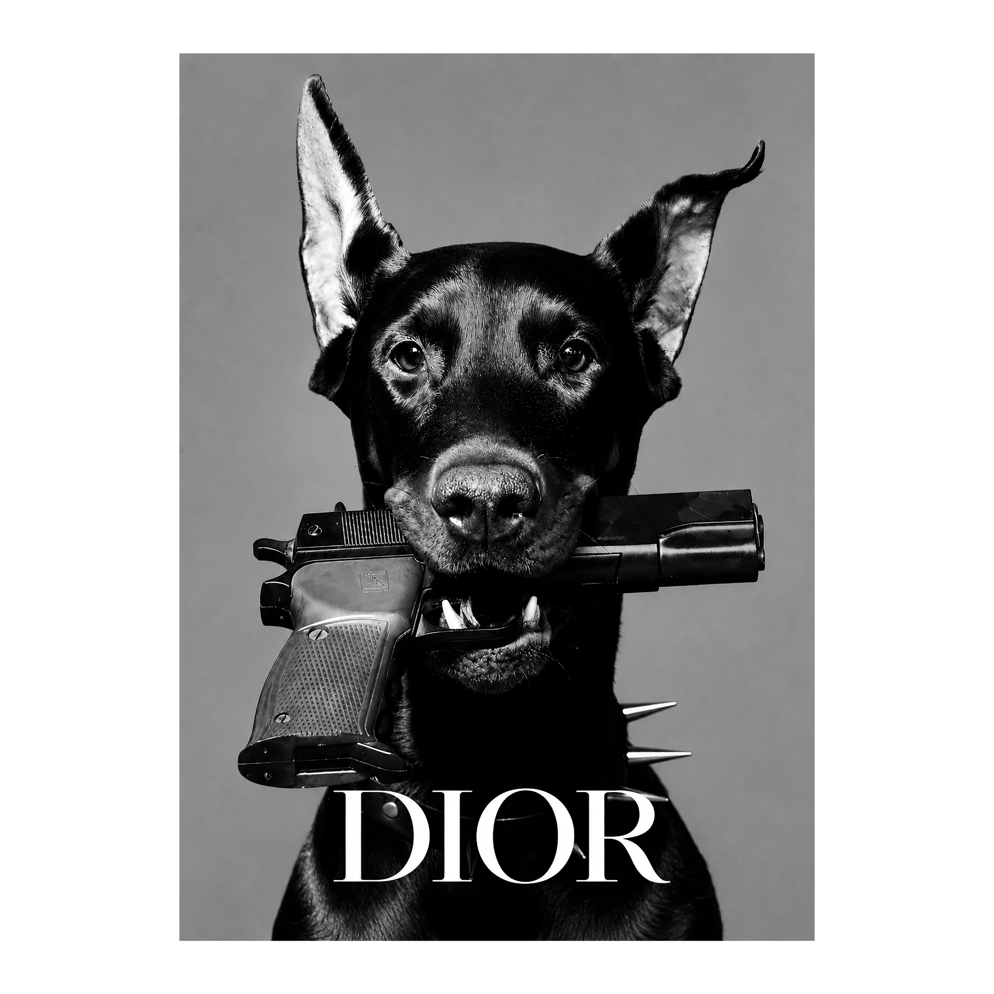 Dior Dog