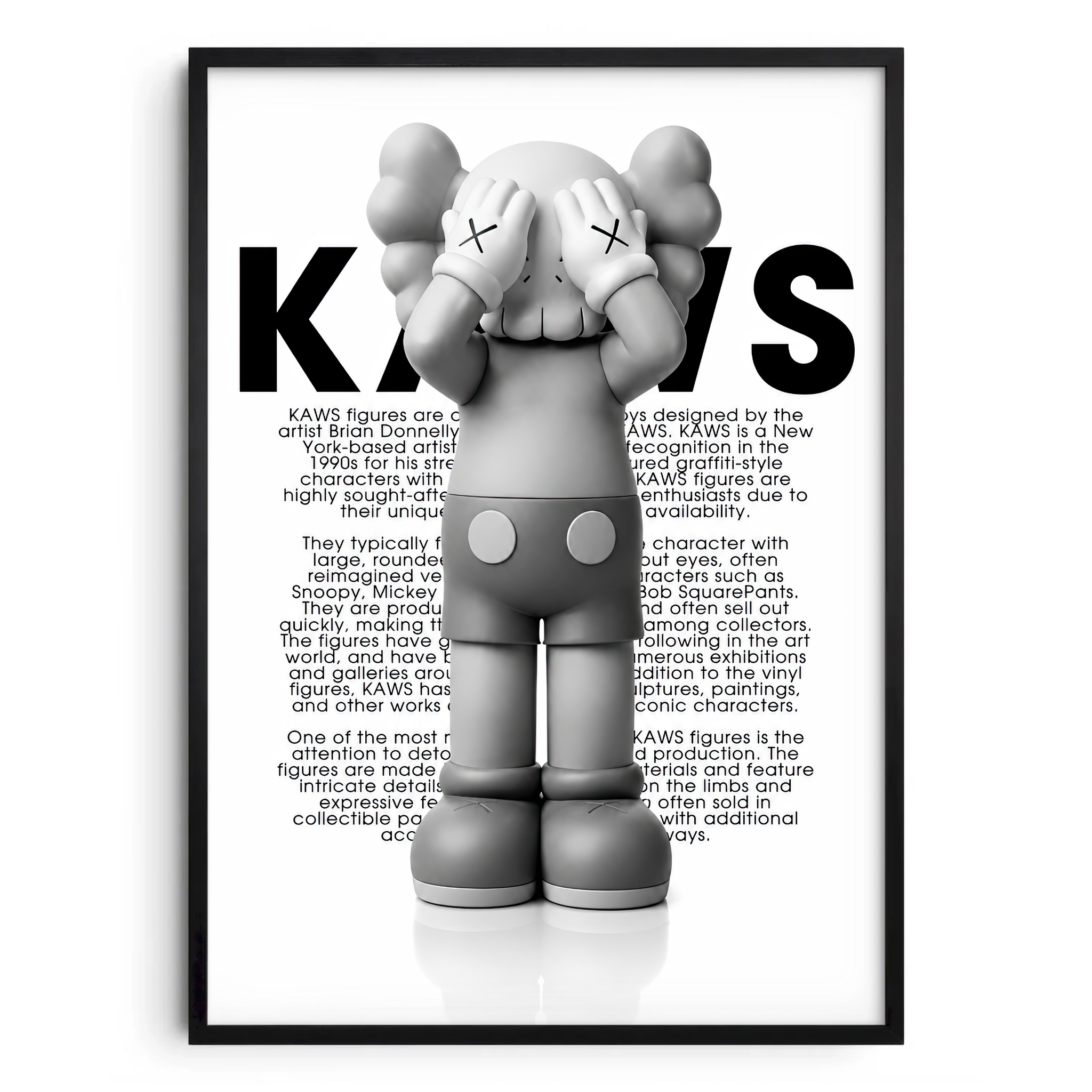 Kaws Story