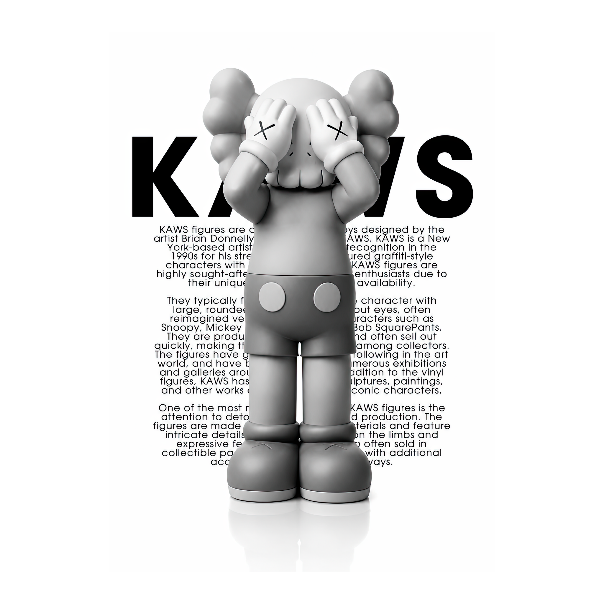 Kaws Story